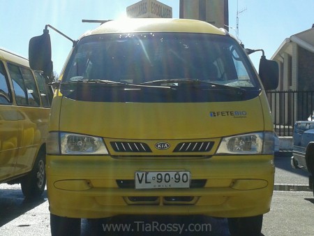 Foto Perfil Furgón Patente VL·90·90 Manejado por la Tía Mary 